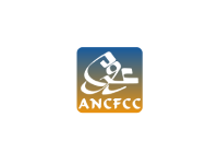 ancfc logo